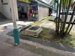 Joo Seng Green (D13), Retail #489731021